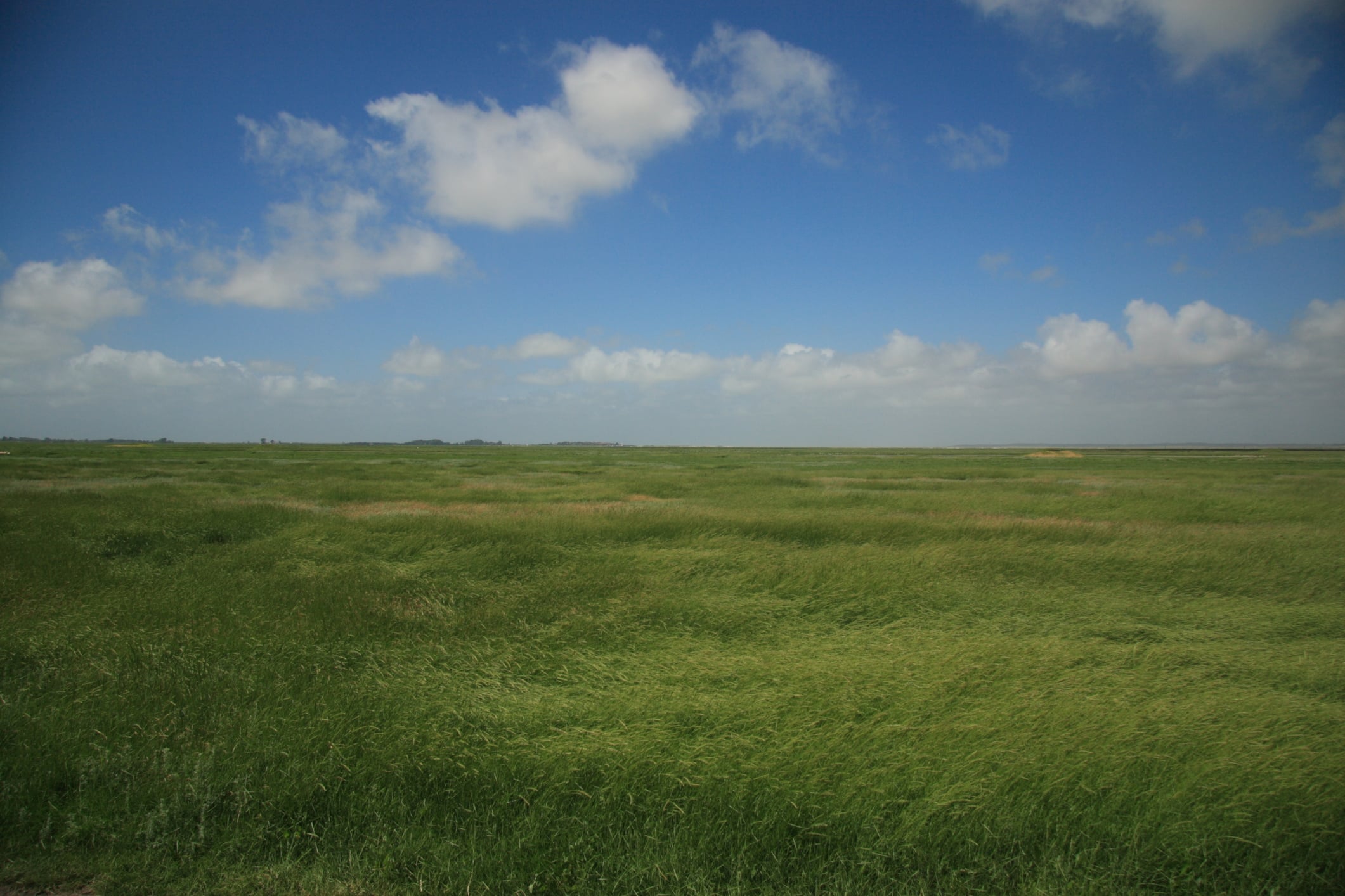 Loan Scenario Can I Get 100 Hard Money Financing on Farmland?